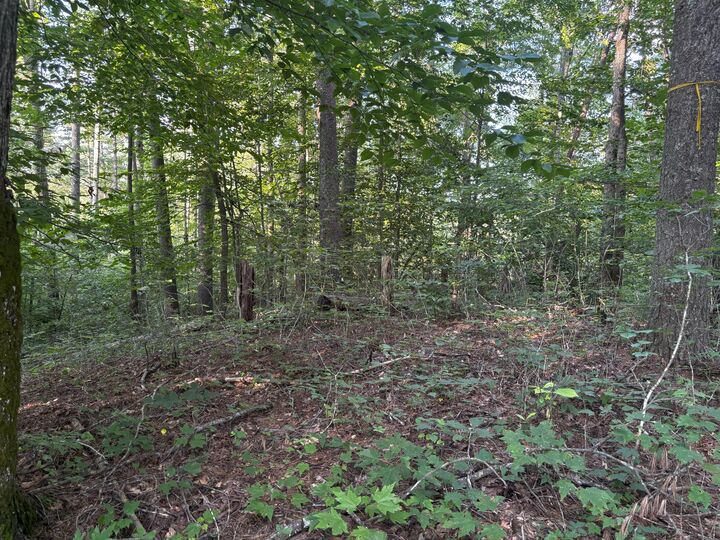Property Photo: Lot 7 Victory Falls Development KY 41301