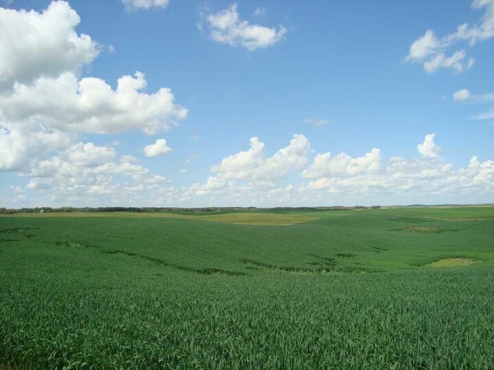 Property Photo: SW,26,35,22,W$M Hi Way 590 Highway AB T0M 0Y0