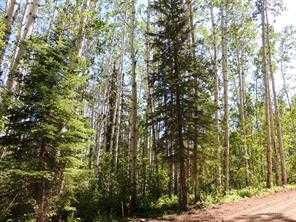 Lot #10 Wapiti River SW-21-69-10-W6 — photo 1