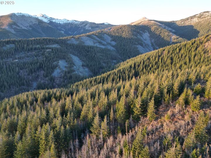 Property Photo:  Skamania Mines Rd 2540  WA 98671 