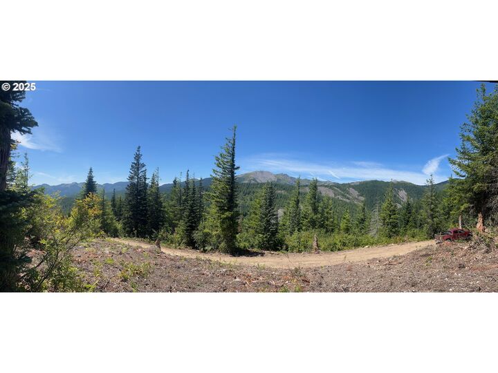 Property Photo:  Skamania Mines Rd  WA 98671 