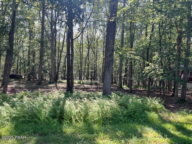 Property Photo: 163 Butternut Road PA 18337