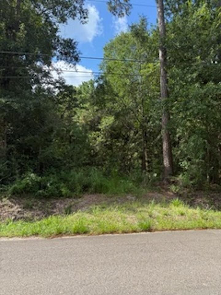 Property Photo: 510 Spoonemore TX 77662