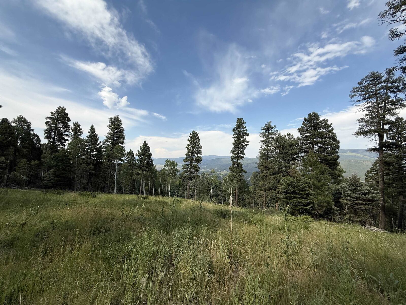 Property Photo: Lot 106 Zia Rd NM 87710