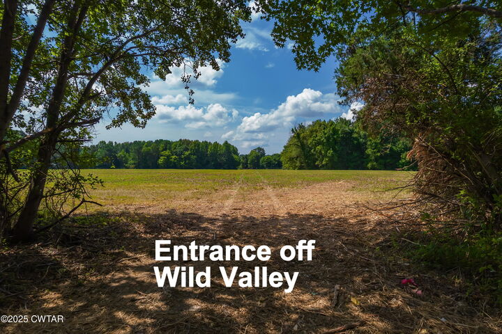 Property Photo: 0 Wild Valley Drive &Amp Watson Road TN 38305