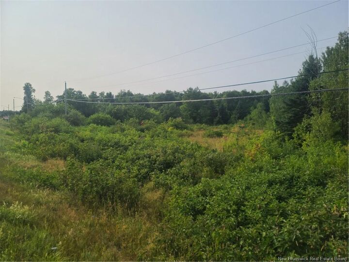 Property Photo:  3.7 Acres Route 180  NB E2A 7G2 