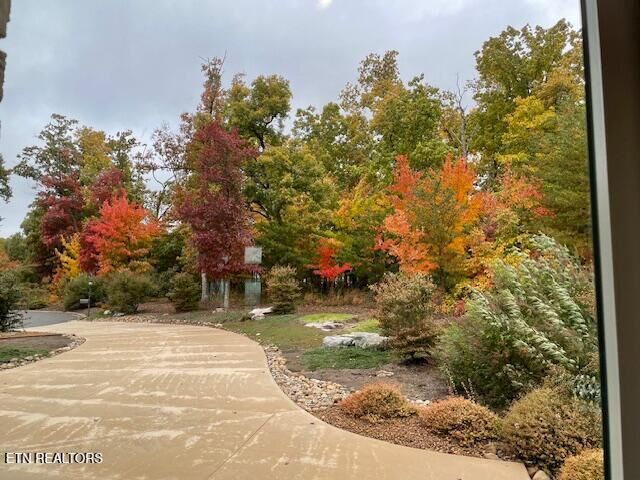 Property Photo: 61 Bluff View Court TN 38558