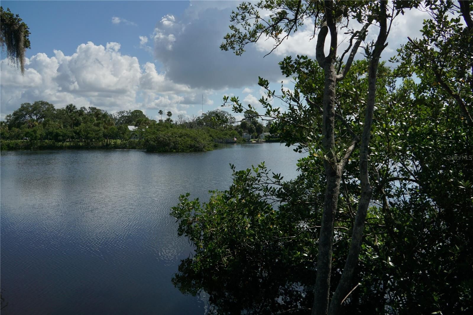 Property Photo: Tiberius Trail FL 34652