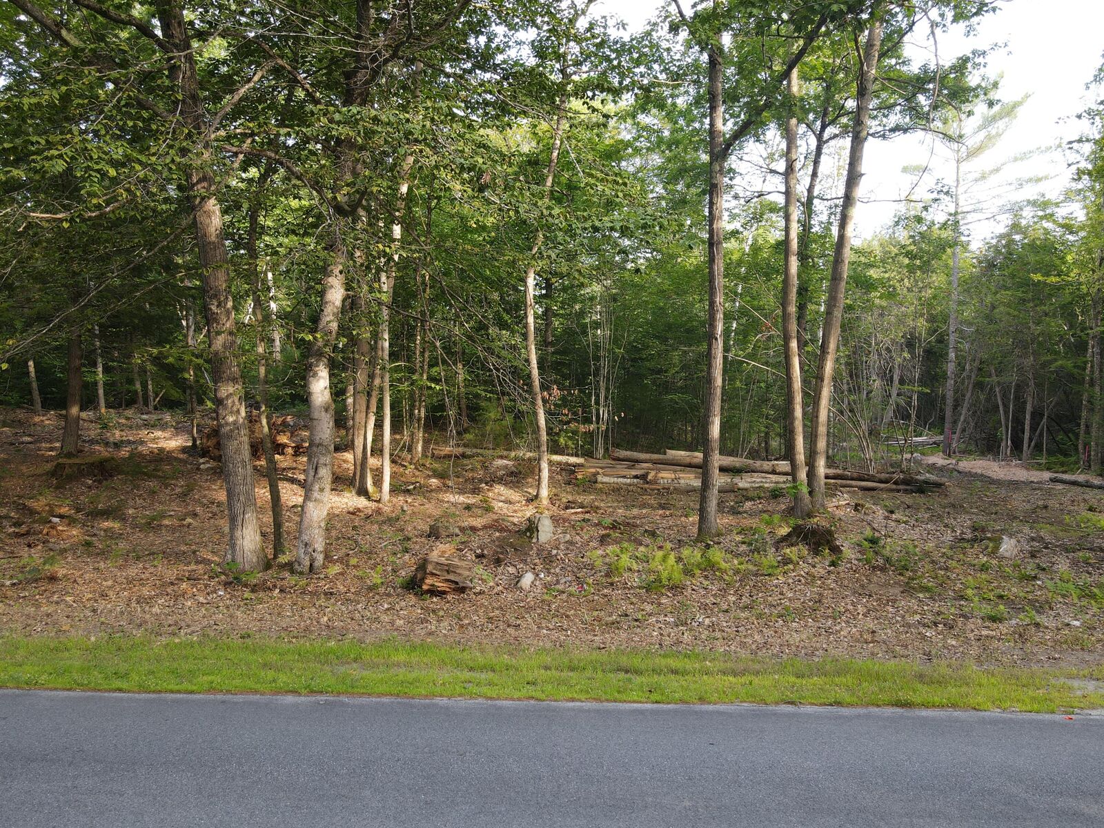 Property Photo: Lot 5 Oak Pond Road ME 04967