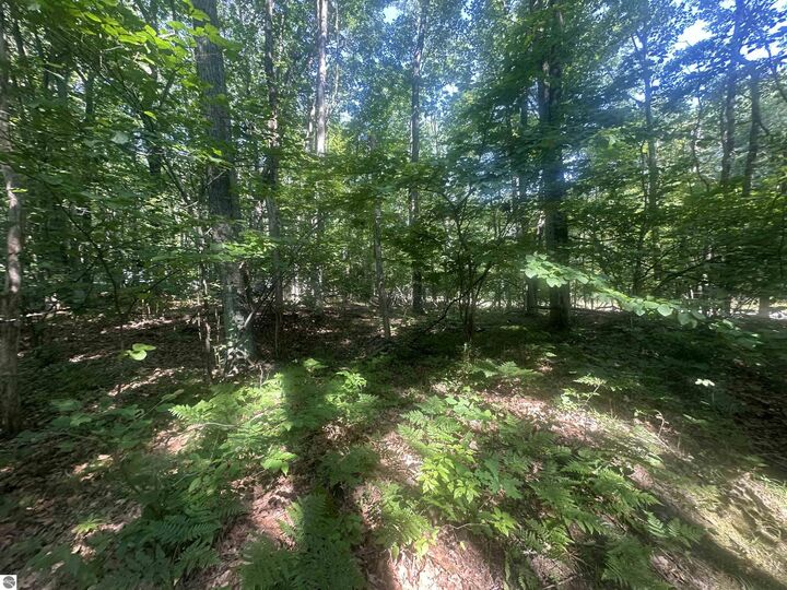 Property Photo:  Lot # 179 Mockingbird Circle  MI 48622 