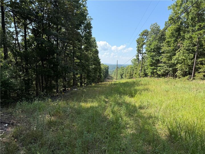 Property Photo:  000 Tract E County Road 516  AR 72616 