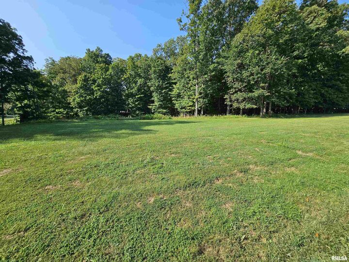 Lot 1 E Whipporwill Road  Mt Vernon IL 62864 photo