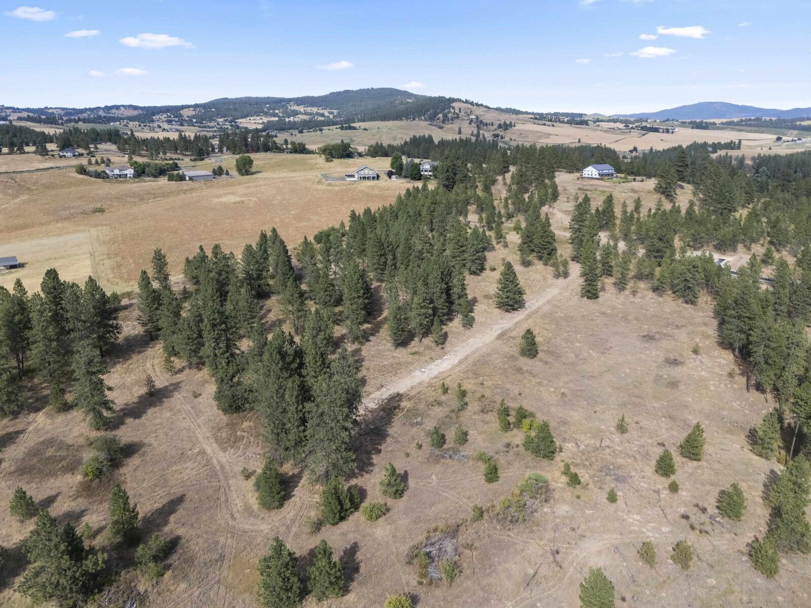 Property Photo:  18xx1 Balsam Hill Ln Lot 1  WA 99036 