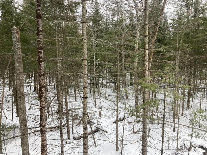 Property Photo:  1602 Trails End Road  MI 49701 