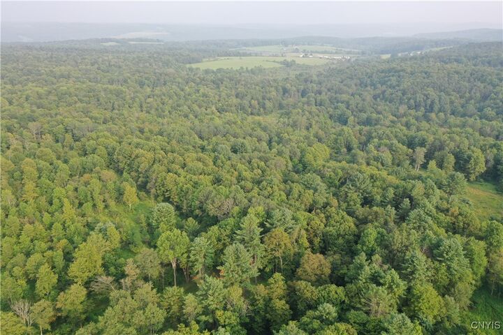 Property Photo: Dutch Hill Road NY 13040