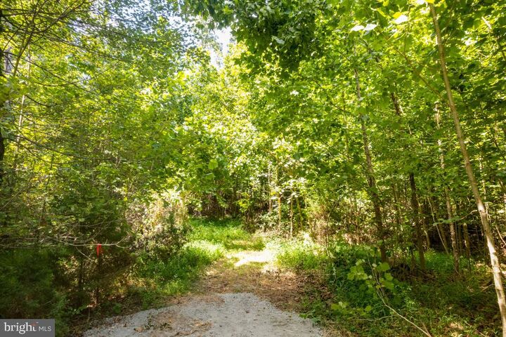 Property Photo: 00 W Hoover Tbd VA 22735
