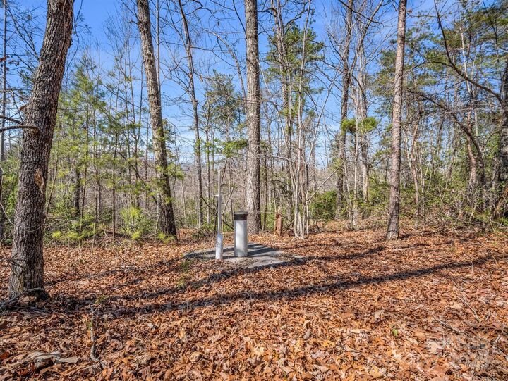 000 Forester Lane 21  Mill Spring NC 28756 photo