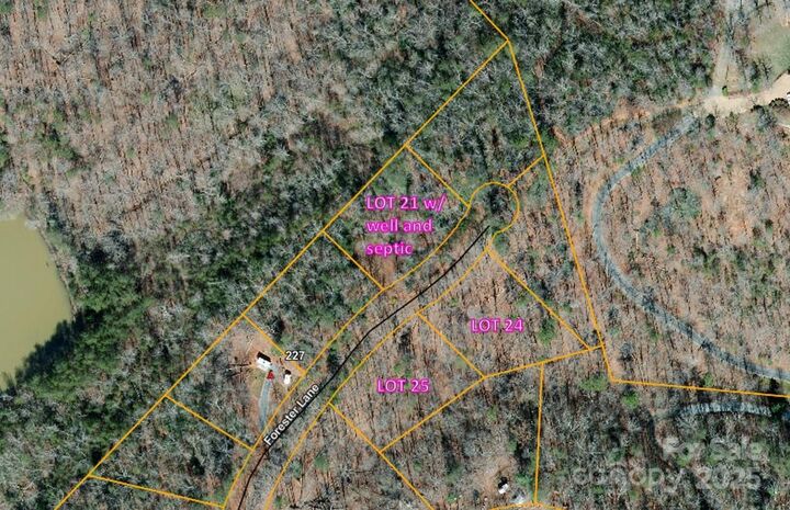 000 Forester Lane 21  Mill Spring NC 28756 photo