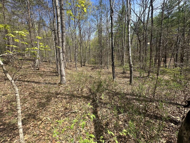 Property Photo: Stonehenge Pkwy WV 24901