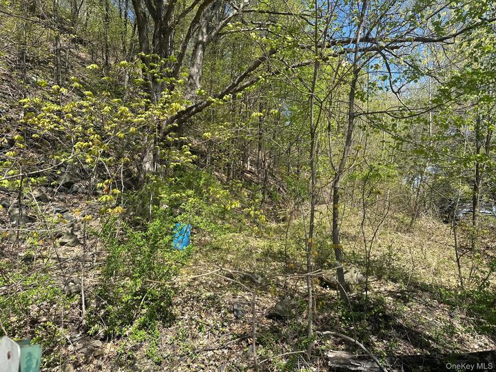 Property Photo: Haviland Road NY 12528