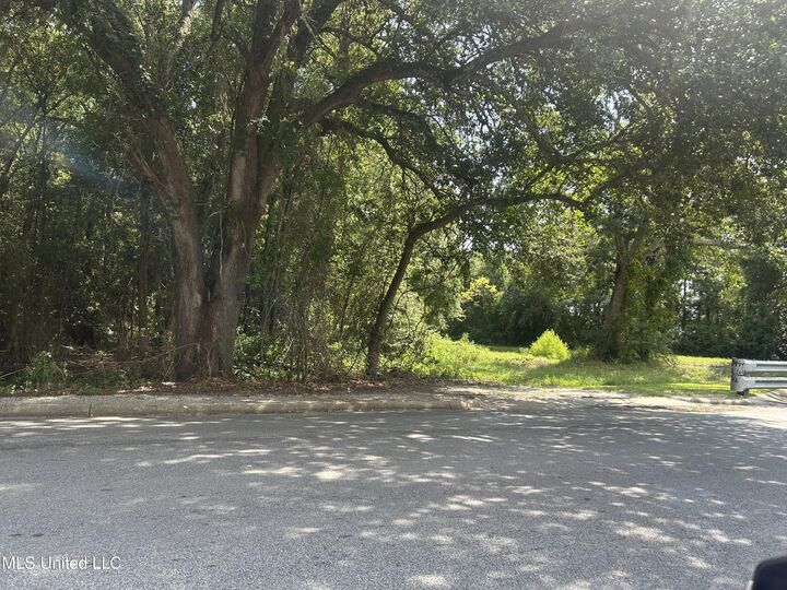 Property Photo:  0 Bartlett Avenue  MS 39567 