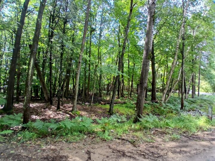 Property Photo:  4750 N Ridge Road  MI 49436 