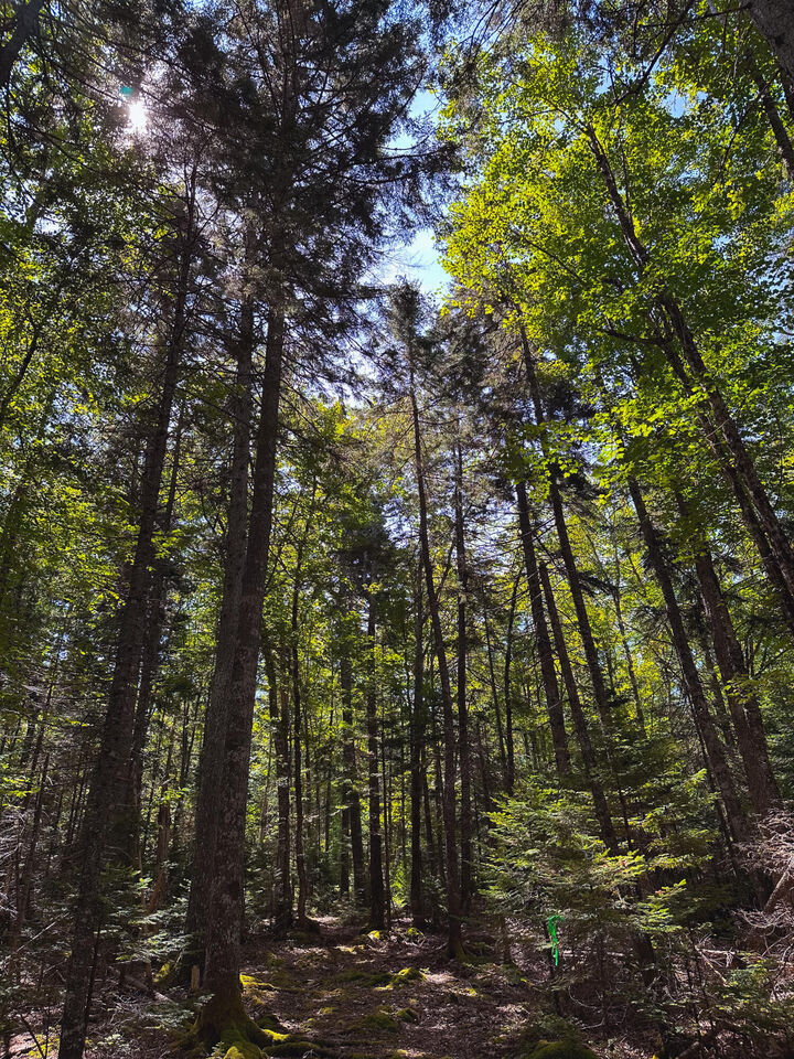 Property Photo: 50-52A-54 Old County Road ME 04676