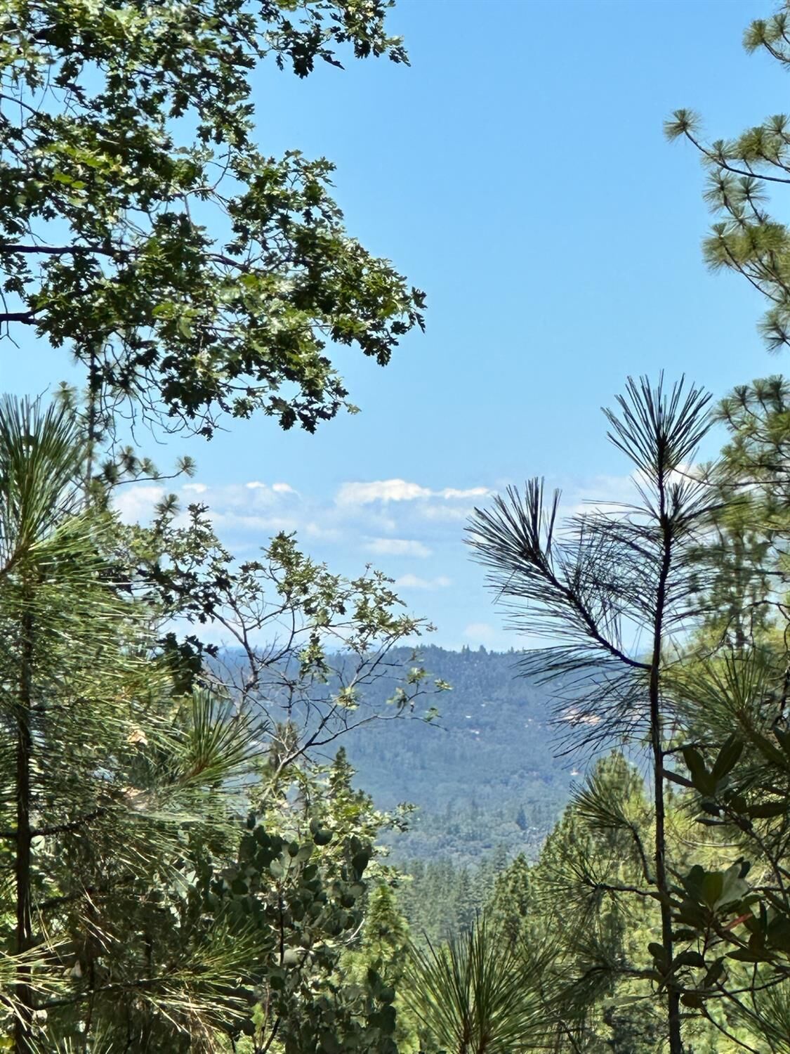 Property Photo:  16681 Winchester Club Drive  CA 95722 