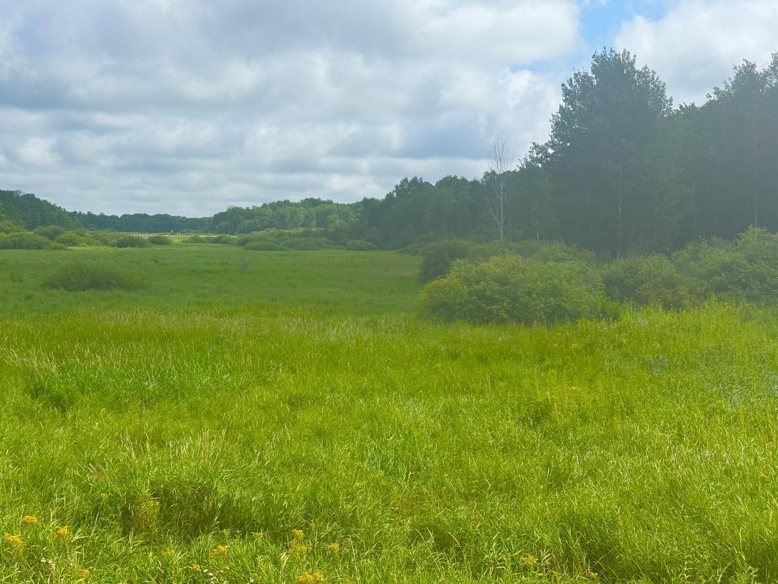 Property Photo:  000 370th Avenue  MN 56338 