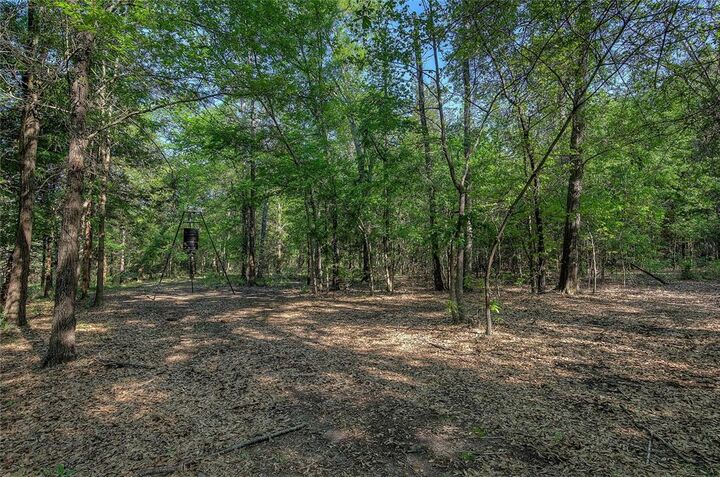 Property Photo:  Tbd County Road 1451 3 Acres  TX 75783 