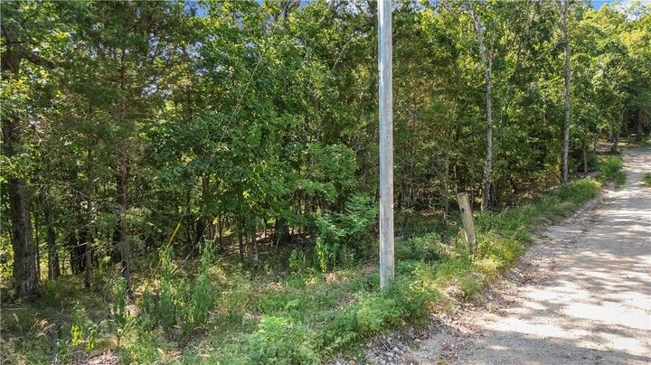 Cr-229  Eureka Springs AR 72631 photo