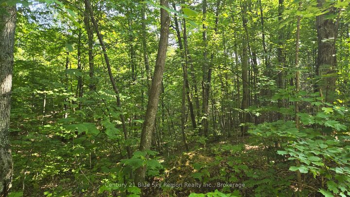 Photo de la propriété:  Lot 13 Con 2 N/A  ON P0H 1Z0 