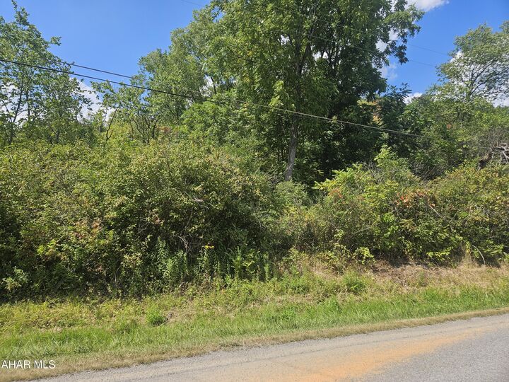 Property Photo:  00 Kerbaugh Road Parcel # 54  PA 16686 