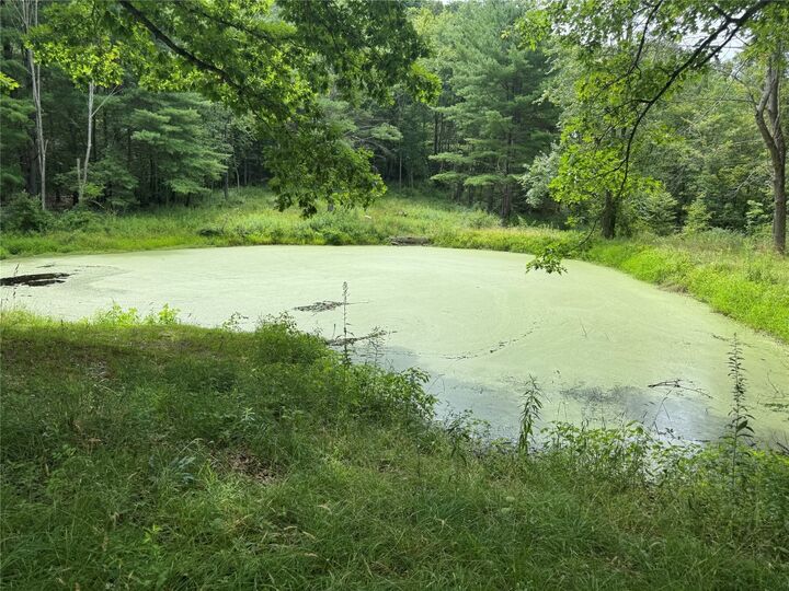 Property Photo:  10 & 14 High Street  NY 13795 