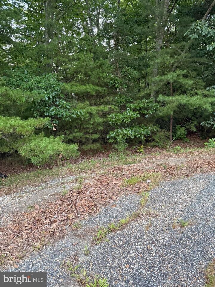 Property Photo: Lot 38 And 39 Calvary VA 22520