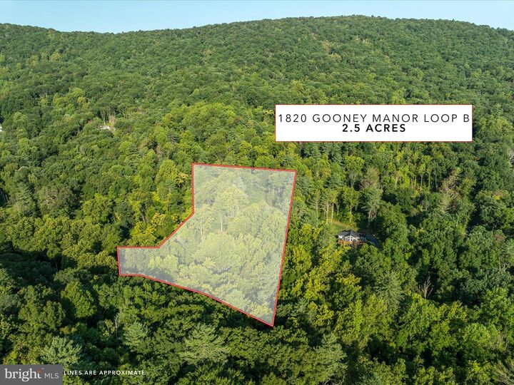 Property Photo: 0 Gooney Manor Loop VA 22610