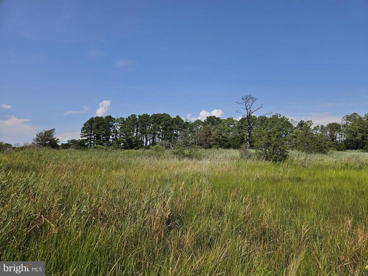 Property Photo:  0 Clara Road  MD 21865 