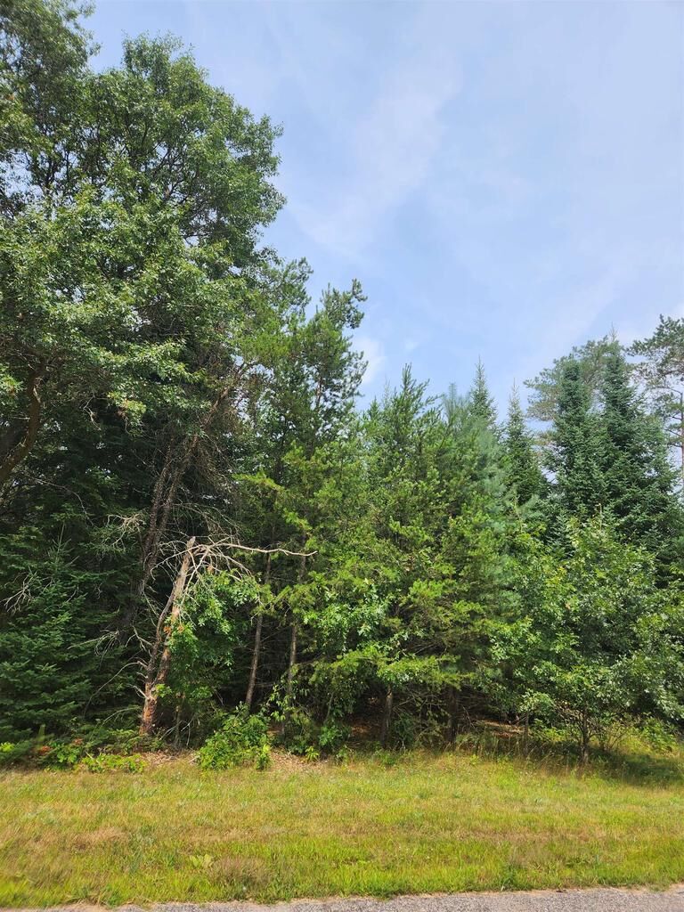 Property Photo: Parcel #0703692 Dewberry Lane WI 54494