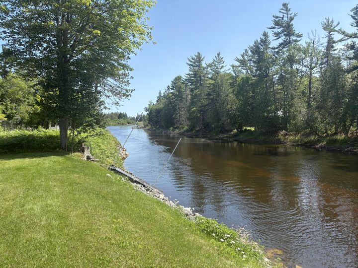 Property Photo:  W12151 East River Rd  MI 49762 