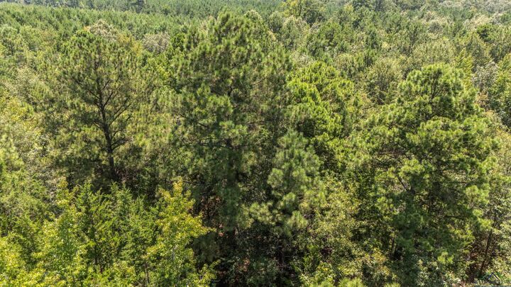 Property Photo:  Tbd Carmel Road  TX 75657 