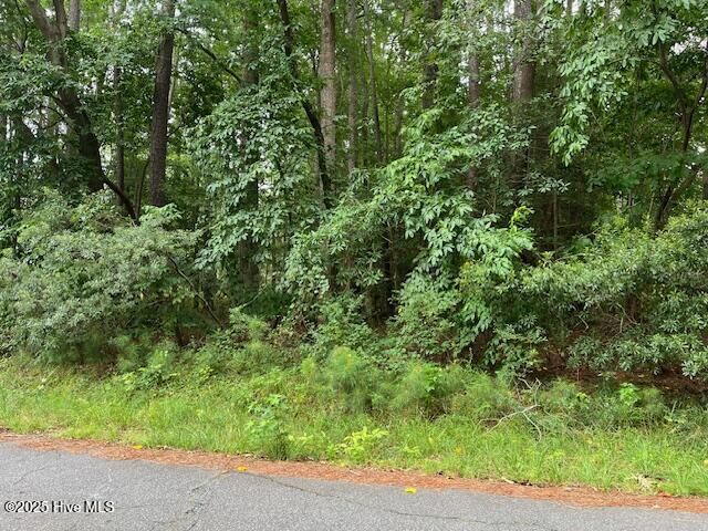 Property Photo:  310 Longwood Drive  NC 27864 