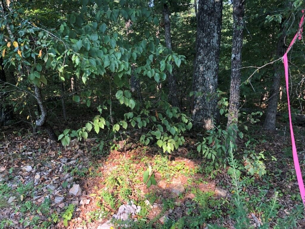 Property Photo:  Lot 21 Egton Drive  AR 72714 