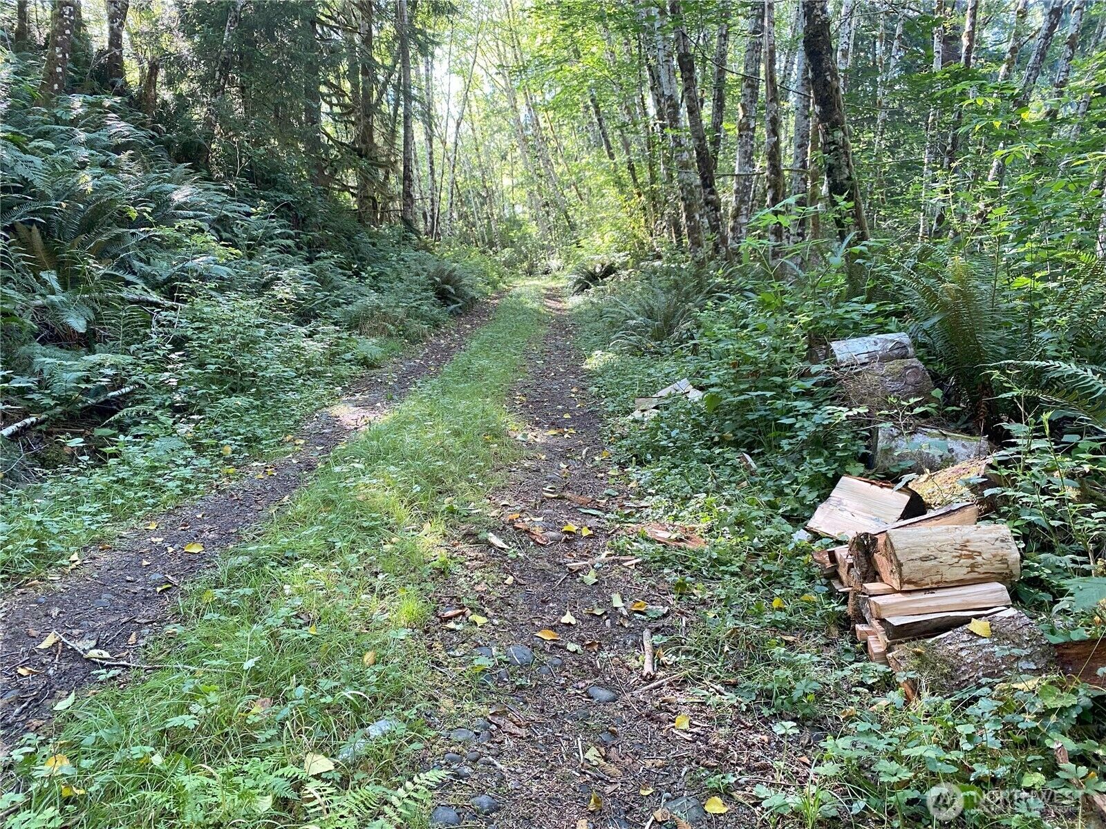 Property Photo: 565 Kallman Rd WA 98331