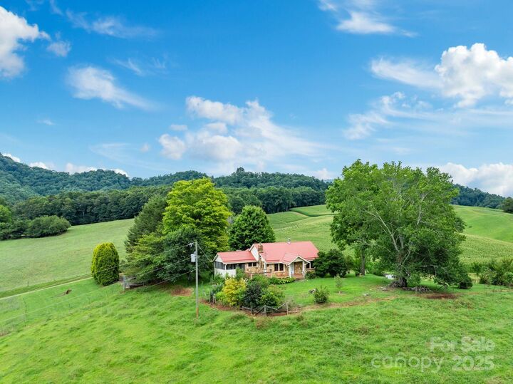 61 Brooks Branch Road  Leicester NC 28748 photo