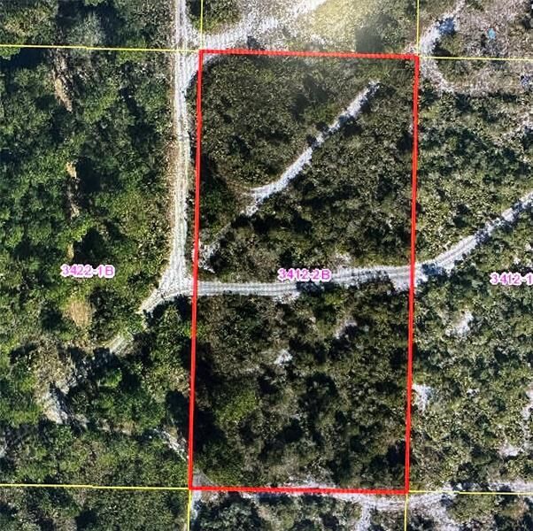Property Photo:  0 Holopaw Groves Rd  FL 34771 