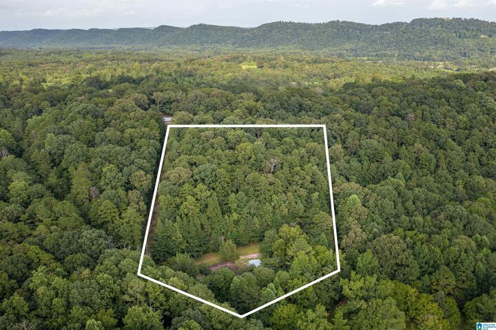 Property Photo: 160 Mill Hill Road AL 35954