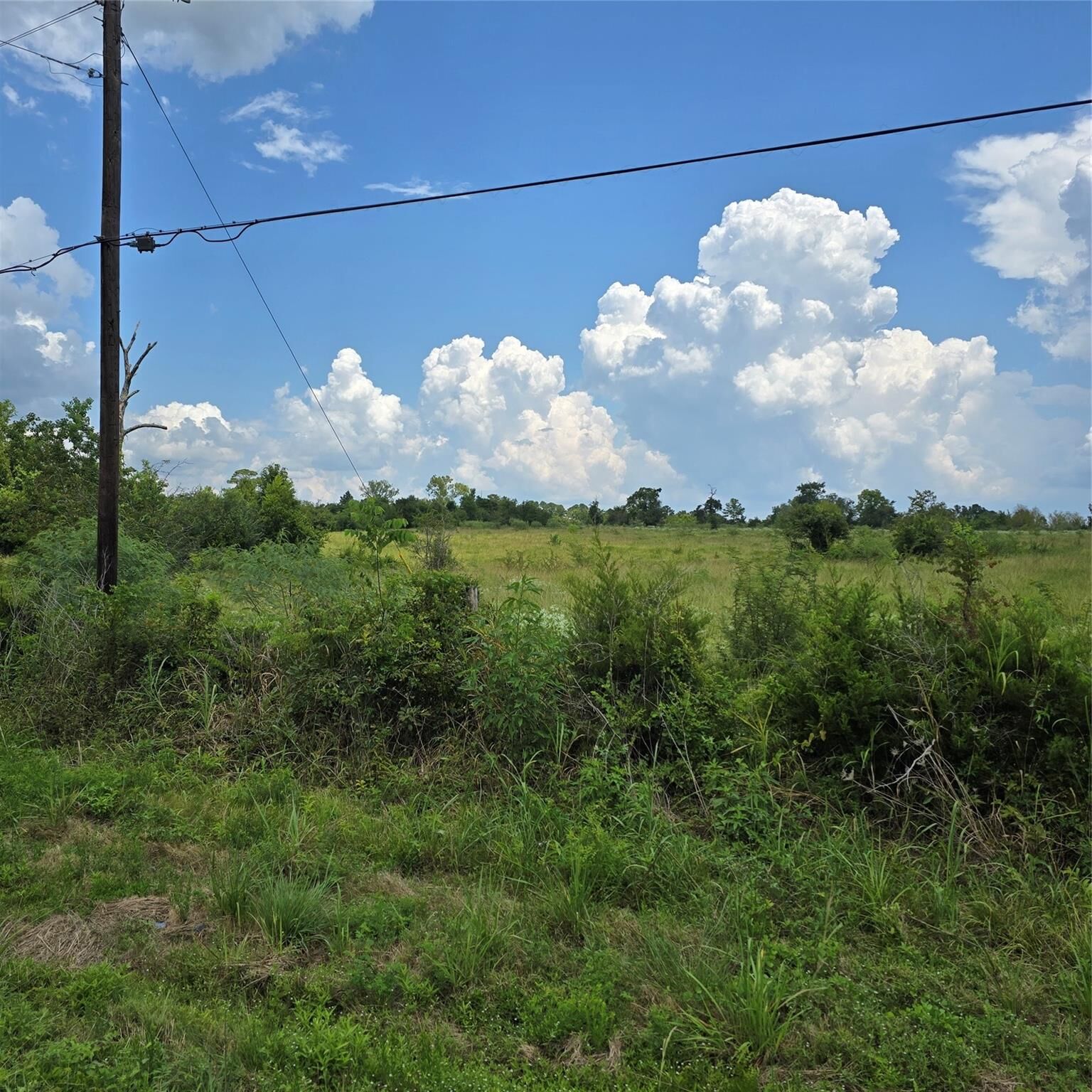 Property Photo: 11151 Tract 3B Hwy 156 TX 77331