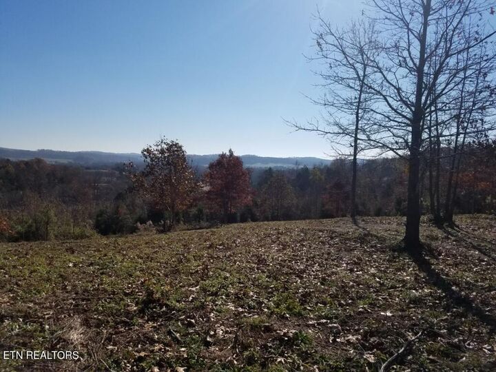 Property Photo: 417 Womac Hollow Rd TN 37880