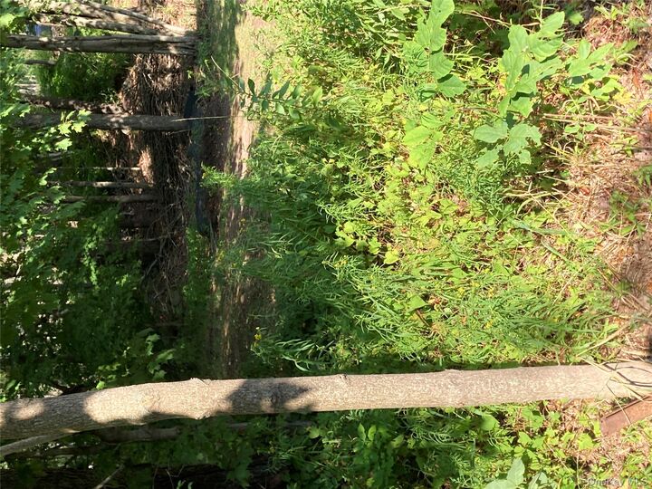 Property Photo: Ahrens Road Parksville New York 12768 NY