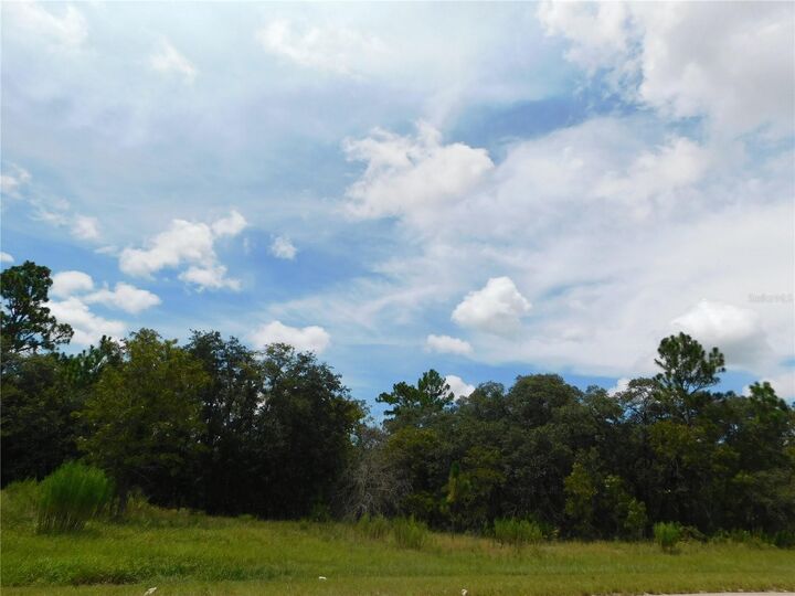 Property Photo: 6683 N Bedstrow Boulevard FL 34434